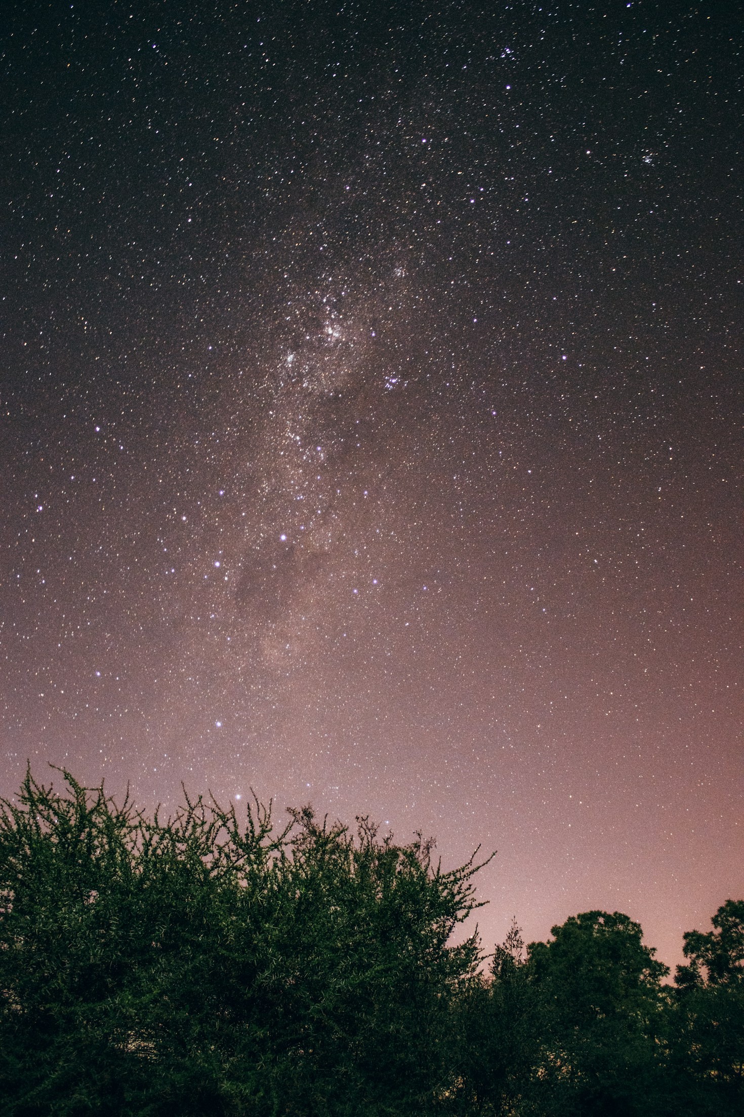 Filosofia e neuroscienze: una connessione cosmica